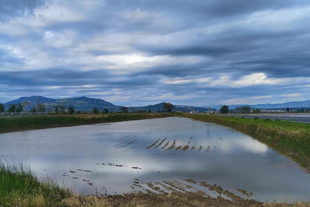 Casilla Mas D'Avall Deltebre Εξωτερικό φωτογραφία